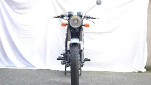 Moto Guzzi   (3)
