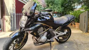 Kawasaki ER-6N (2005 - 08)  (4)