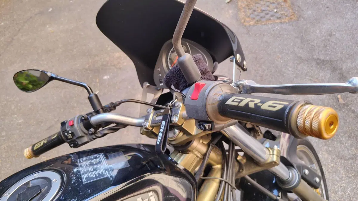 Kawasaki ER-6N (2005 - 08)  (7)