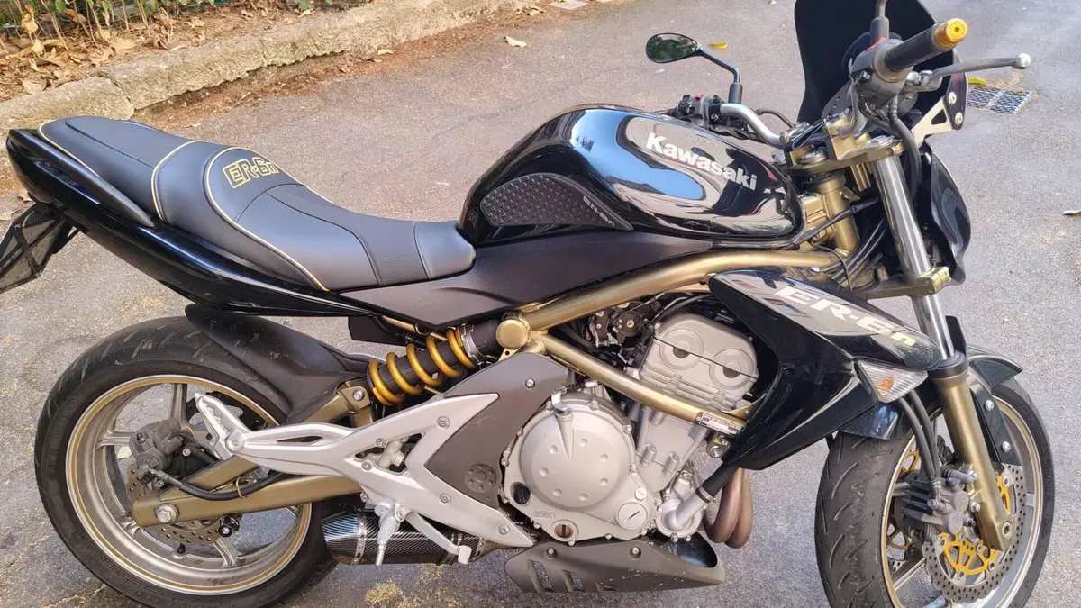 Kawasaki ER-6N (2005 - 08)  (9)