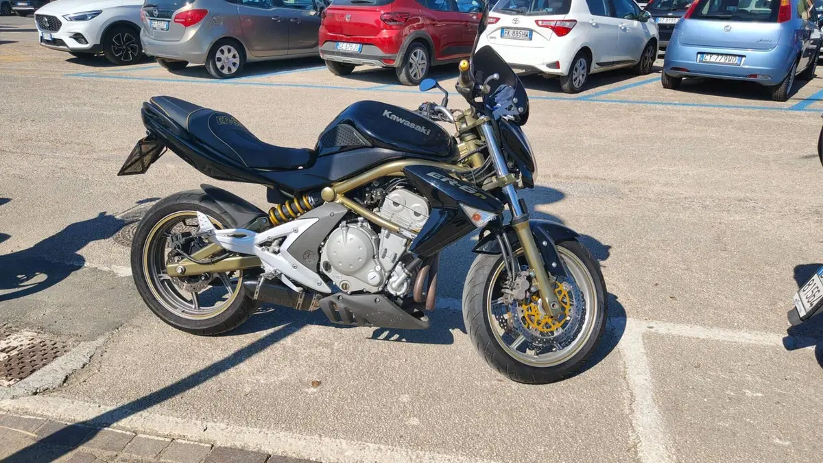 Kawasaki ER-6N (2005 - 08)  (11)
