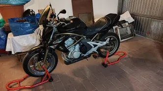 Kawasaki ER-6N (2005 - 08) usata