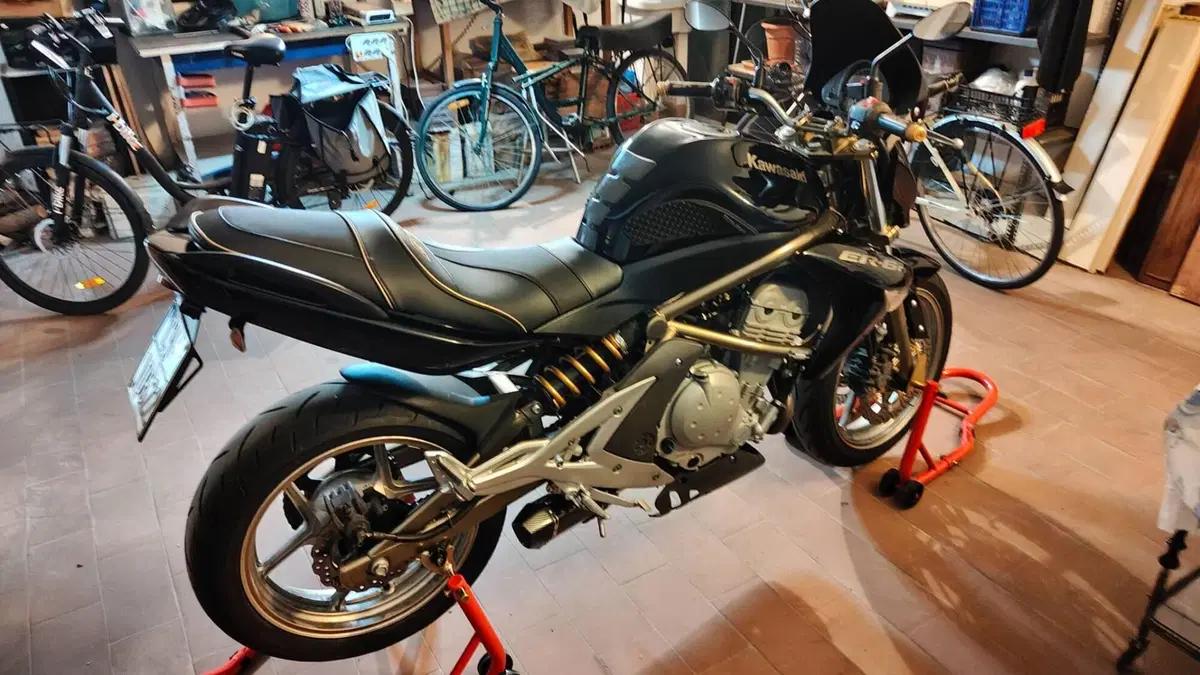 Kawasaki ER-6N (2005 - 08)  (13)