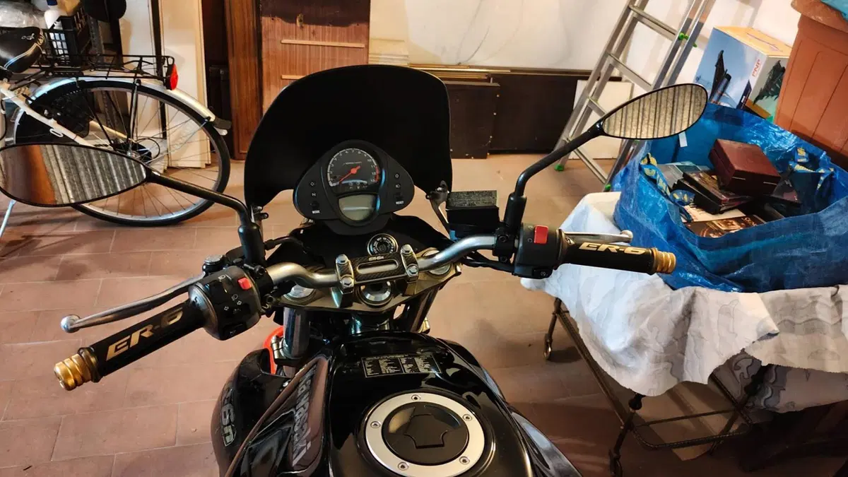 Kawasaki ER-6N (2005 - 08)  (15)