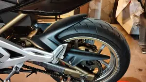 Kawasaki ER-6N (2005 - 08)  (17)