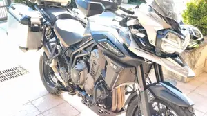 Triumph Tiger 1200 Desert Edition (2020)  (2)