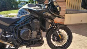 Triumph Tiger 1200 Desert Edition (2020)  (3)