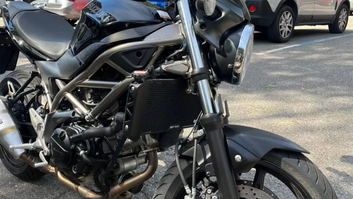 Suzuki SV650 (2021 - 24)  (3)