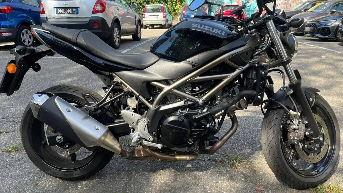 Suzuki SV650 (2021 - 24) 