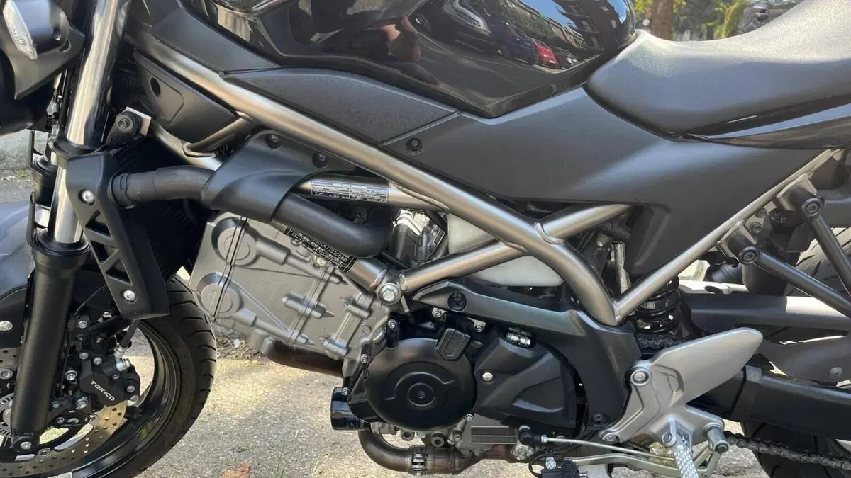 Suzuki SV650 (2021 - 24)  (7)