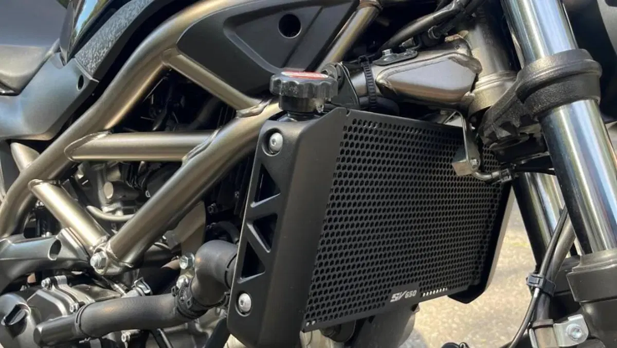 Suzuki SV650 (2021 - 24)  (12)