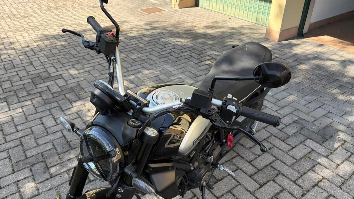 Ducati Scrambler 800 Icon (2023 - 24)  (6)