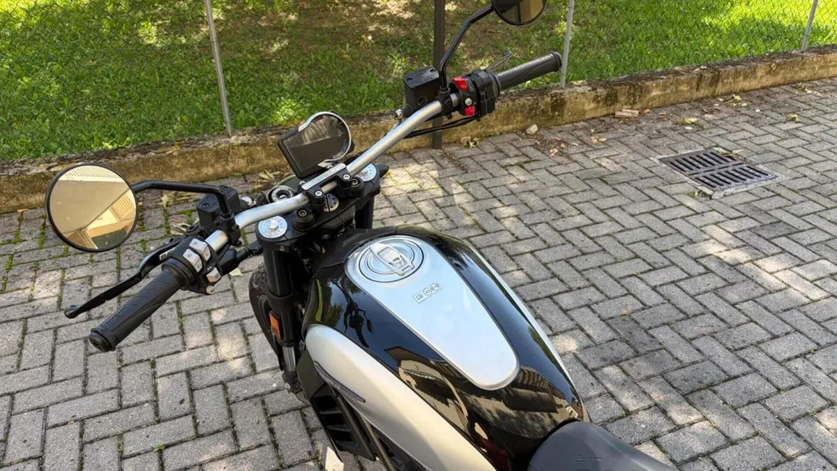 Ducati Scrambler 800 Icon (2023 - 24)  (7)