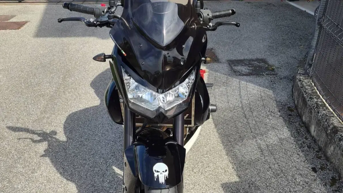 Kawasaki Z 750 (2007 - 14)  (3)