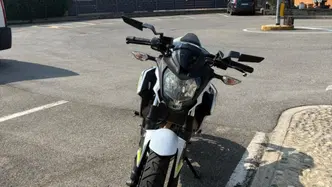 Kawasaki Z 125 (2019 - 20)