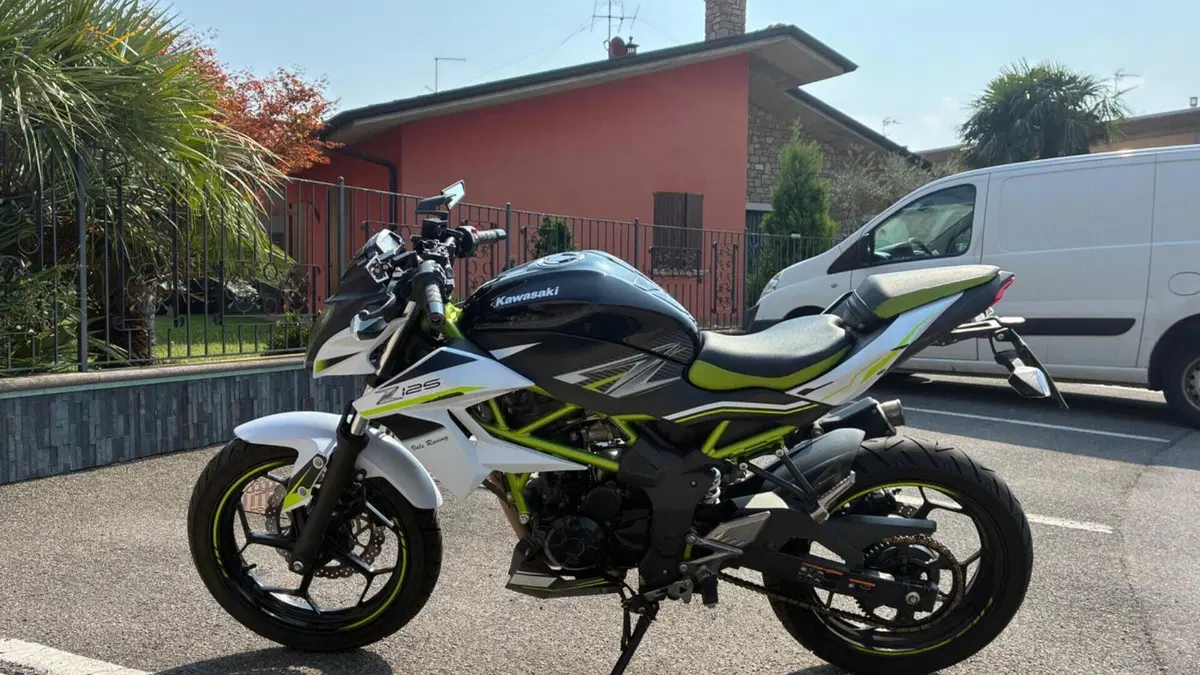 Kawasaki Z 125 (2019 - 20)  (2)