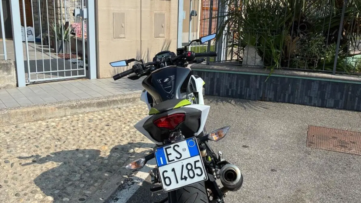 Kawasaki Z 125 (2019 - 20)  (3)
