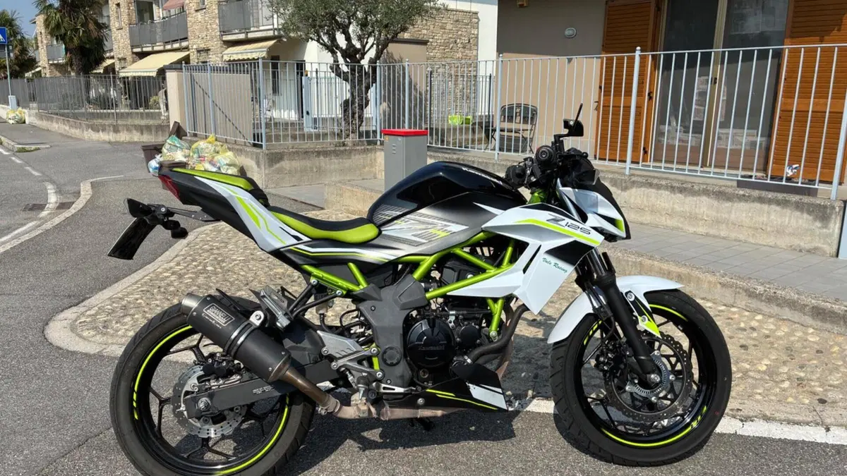Kawasaki Z 125 (2019 - 20)  (4)
