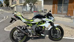 Kawasaki Z 125 (2019 - 20)  (4)