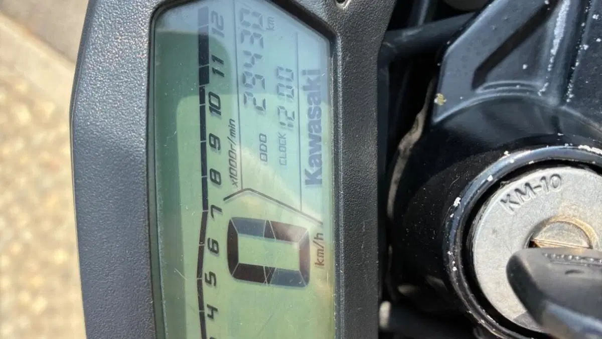 Kawasaki Z 125 (2019 - 20)  (5)