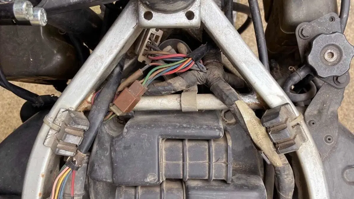 Yamaha   (5)