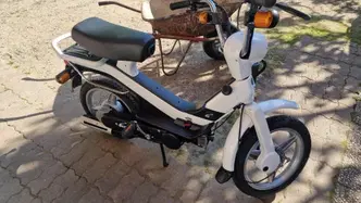 Piaggio Grillo 50 V RL AE KS usata