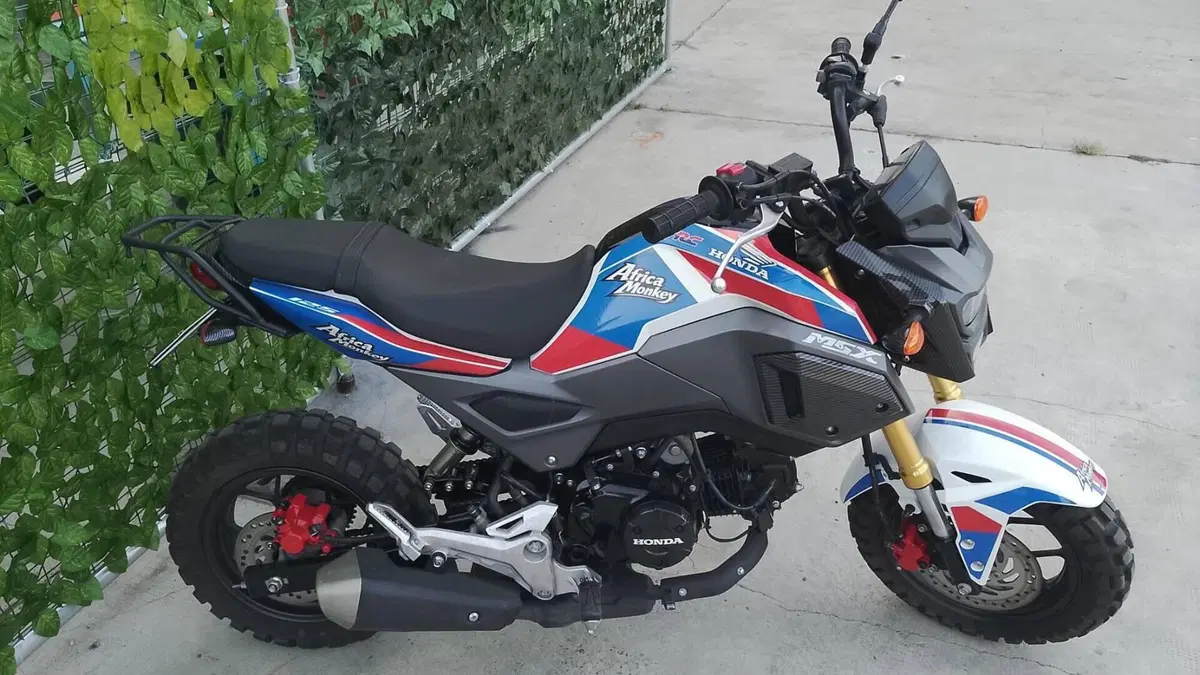 Honda MSX 125 Grom (2021 - 26)  (2)