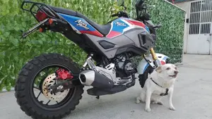 Honda MSX 125 Grom (2021 - 26)  (4)