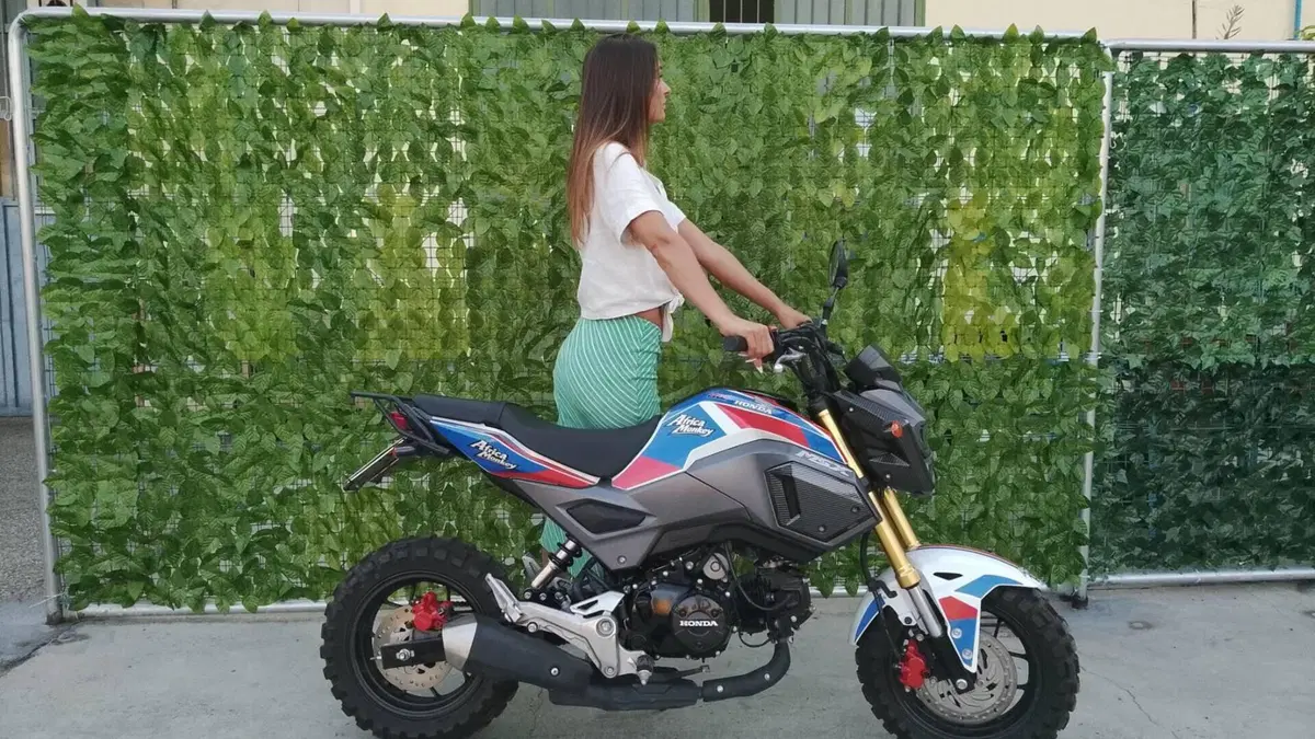 Honda MSX 125 Grom (2021 - 26)  (5)