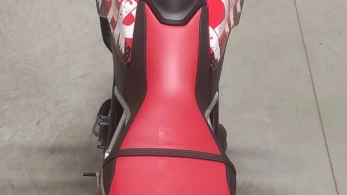 Ducati Hypermotard 950 RVE (2020)  (8)