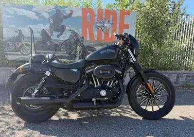 Harley-Davidson 883 Iron (2014 - 16) - XL 883N - Annuncio 10103517