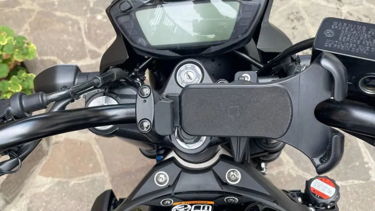 Suzuki SV650 (2021 - 24)  (10)