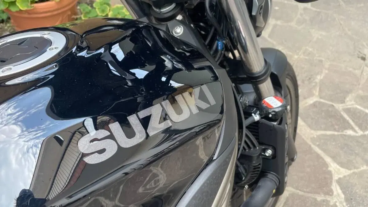 Suzuki SV650 (2021 - 24)  (11)
