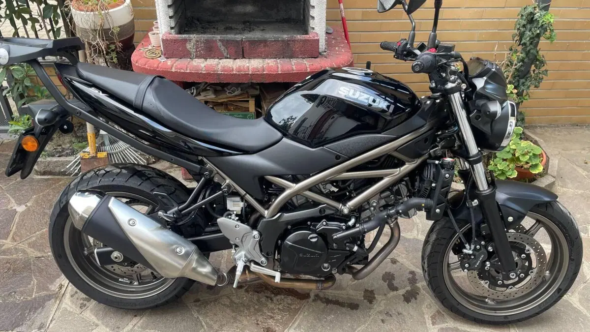 Suzuki SV650 (2021 - 24) 