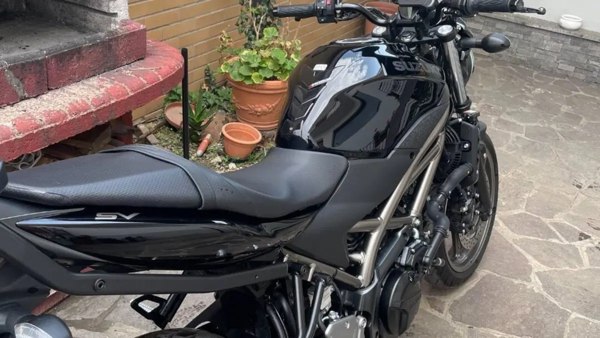 Suzuki SV650 (2021 - 24)  (8)