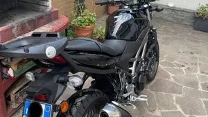 Suzuki SV650 (2021 - 24)  (7)