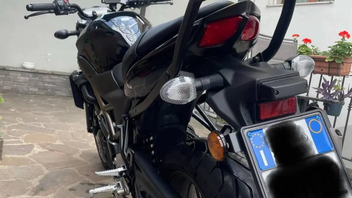 Suzuki SV650 (2021 - 24)  (9)
