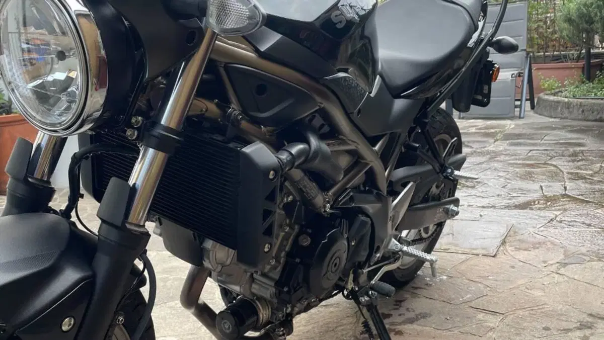 Suzuki SV650 (2021 - 24)  (5)