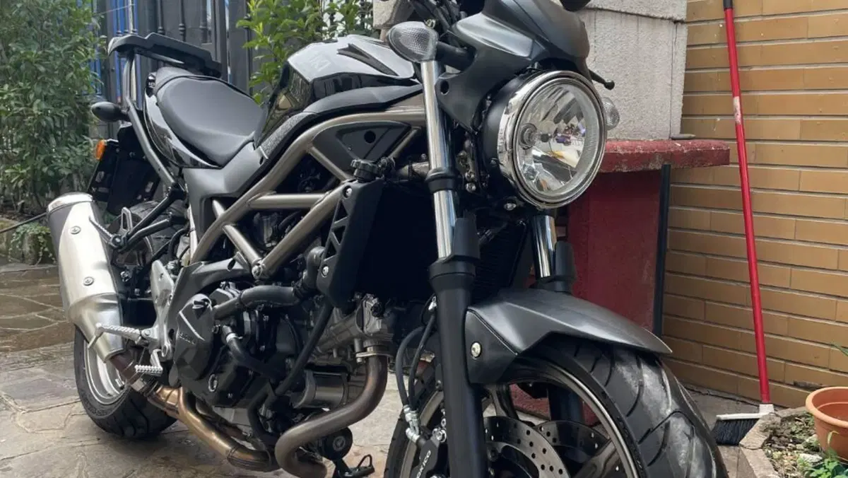 Suzuki SV650 (2021 - 24)  (2)