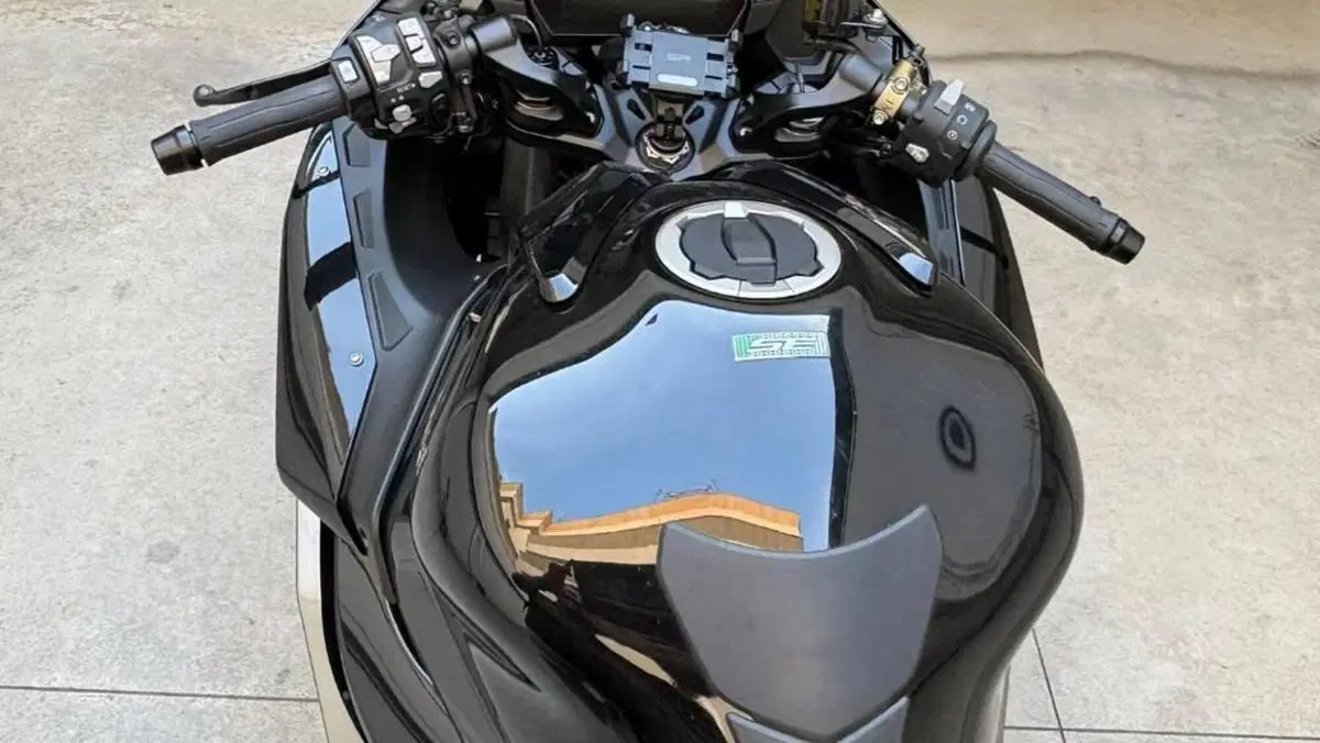 Kawasaki Ninja H2 SX SE Performance Tourer (2024 - 26)  (6)