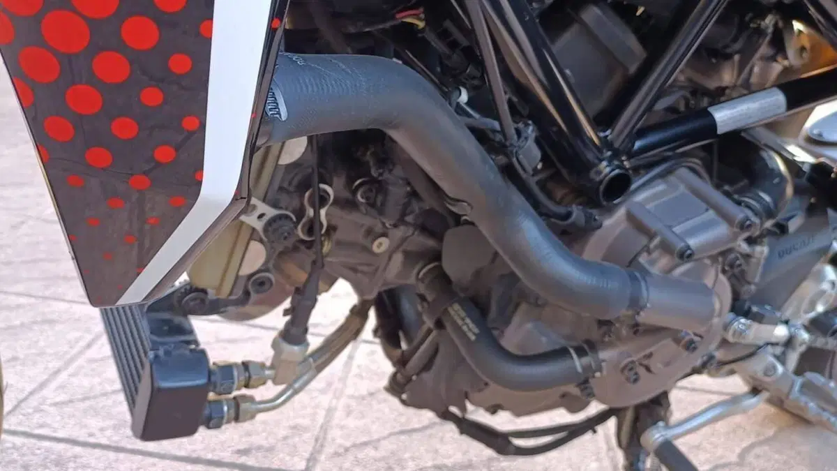 Ducati Hypermotard 950 RVE (2022 - 25)  (4)