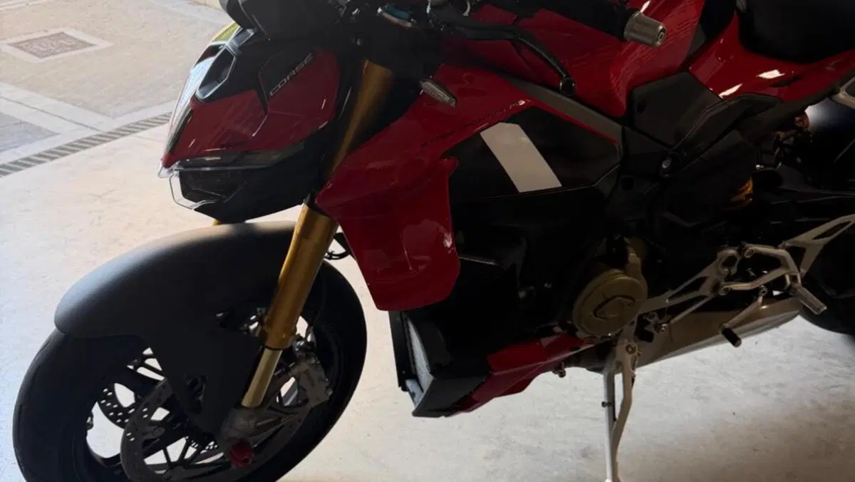 Ducati Streetfighter V4 S (2025 - 26)  (6)