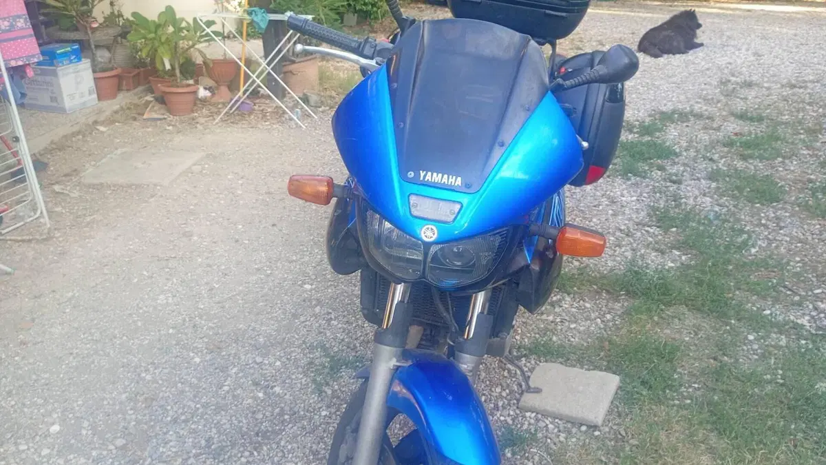 Yamaha TDM 850 (1996 - 01)  (2)