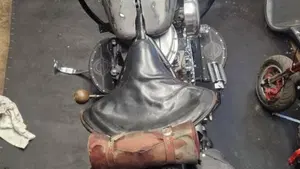Harley-Davidson   (2)