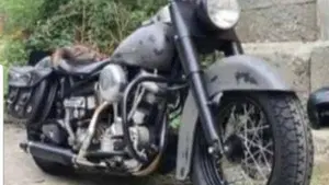 Harley-Davidson   (5)