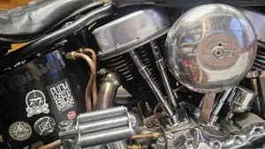 Harley-Davidson   (7)