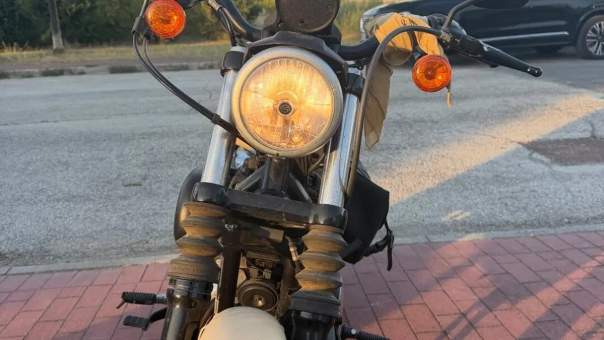 Harley-Davidson 883 Iron (2012 - 14) - XL 883N  (2)