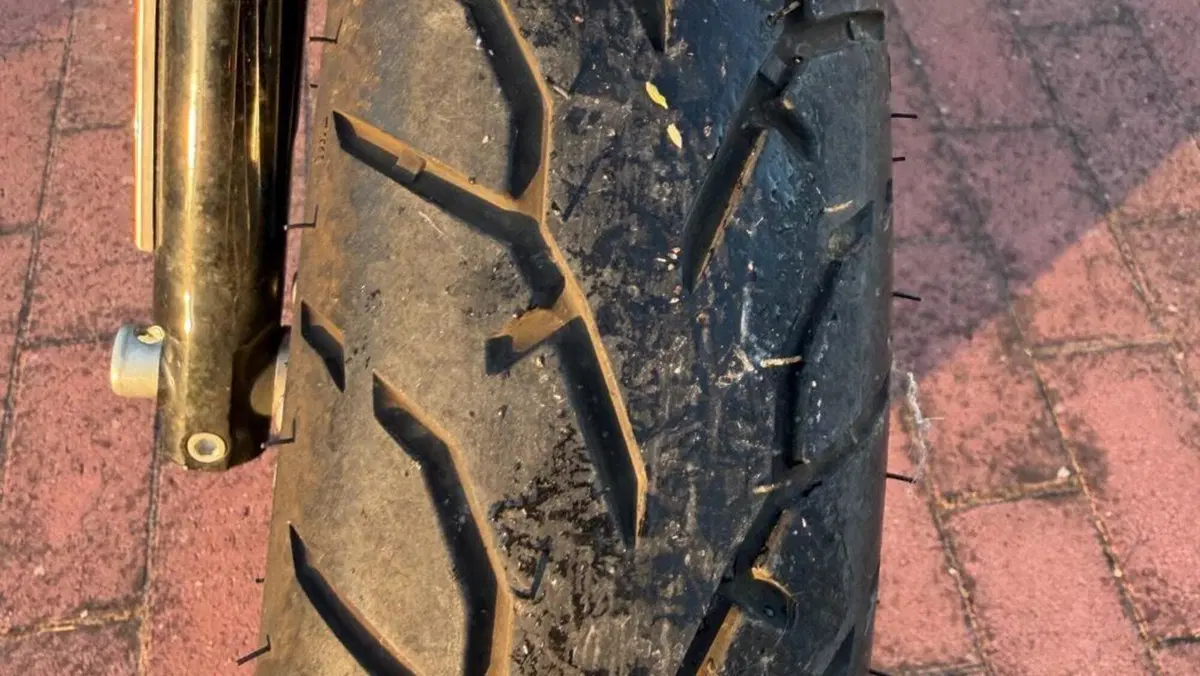 Harley-Davidson 883 Iron (2012 - 14) - XL 883N  (3)