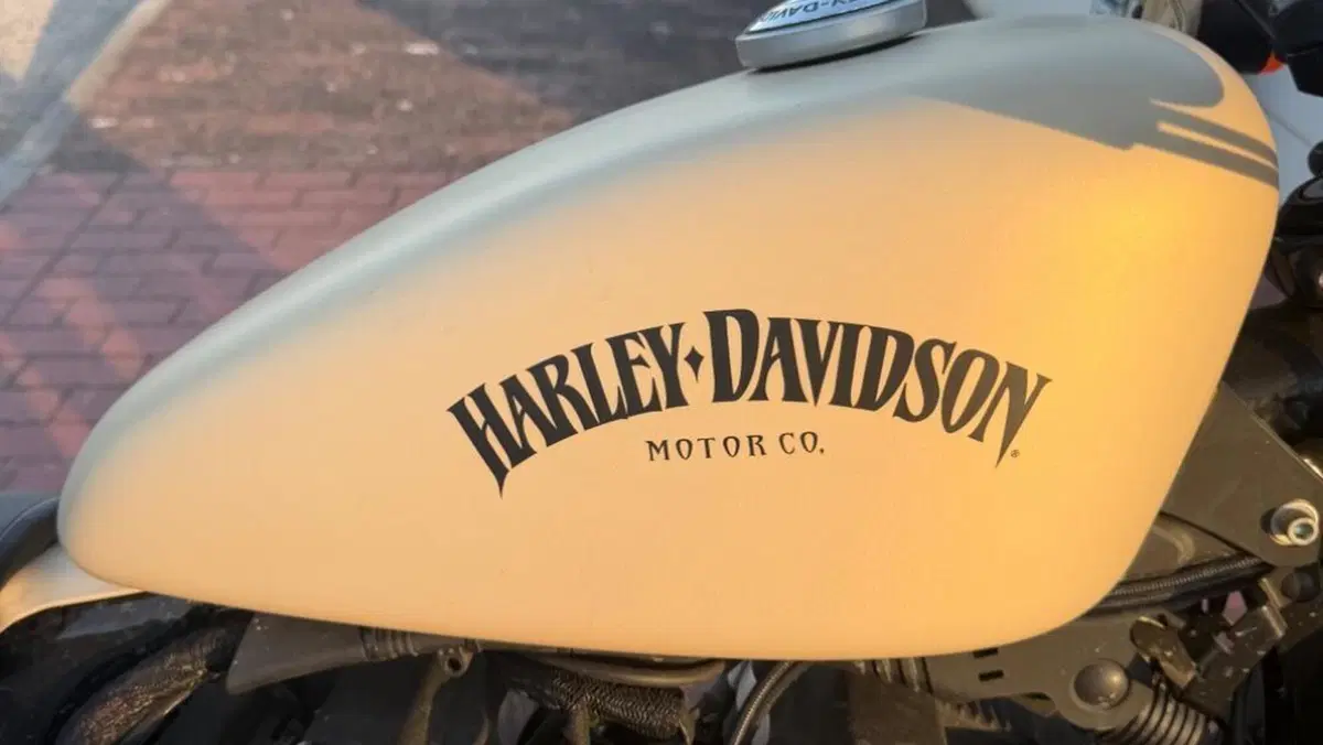 Harley-Davidson 883 Iron (2012 - 14) - XL 883N  (4)