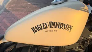Harley-Davidson 883 Iron (2012 - 14) - XL 883N  (4)